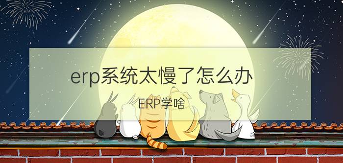 erp系统太慢了怎么办 ERP学啥？